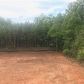 2204 Shoal Creek Rd, Buford, GA 30518 ID:15875199