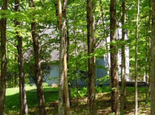 119 Kropp Rd, Westerlo, NY 12193