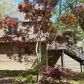 1747 NE Christie Dr NE, Marietta, GA 30066 ID:15686092