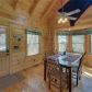 225 Nellies Big Fish Rd, Suches, GA 30572 ID:15473713