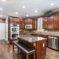 1808 Austins Pointe Dr, Lawrenceville, GA 30043 ID:15825002