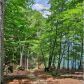 81 Flycatcher Point, Jasper, GA 30143 ID:15155270