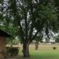 611 Deer Trail Dr, Jourdanton, TX 78026 ID:15885672