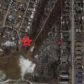 1803 Atkinson Drive, Anchorage, AK 99504 ID:14996488