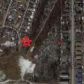 1803 Atkinson Drive, Anchorage, AK 99504 ID:14996492