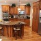 305 Haley Farm Ct, Canton, GA 30115 ID:15496802