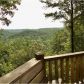 3335 Newport Dr, Ellijay, GA 30540 ID:15153510