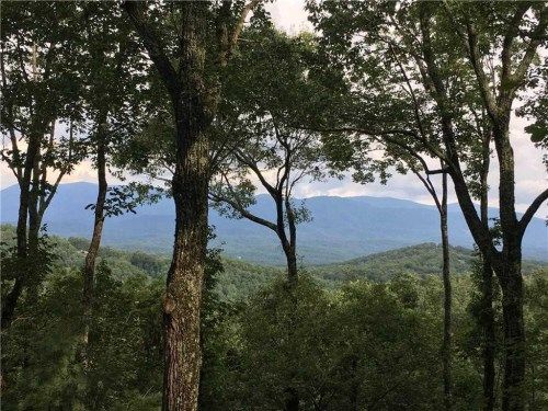 448 Mountain View Rd, Ellijay, GA 30540