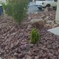 9078 Secret Valley Street, Las Vegas, NV 89139 ID:15745466