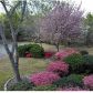 6593 Mcever Rd, Flowery Branch, GA 30542 ID:15731549