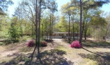 203 WEST ELON COURT Hopkins, SC 29061