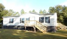 183 Little Dusty Trl Hortense, GA 31543