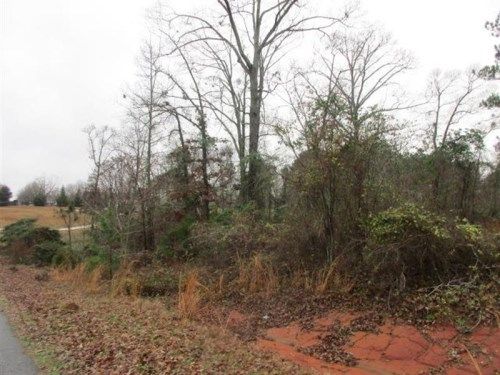 LOT 2 OLD S WAY, Fort Valley, GA 31030