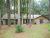 312 Whispering Pine Dr Haughton, LA 71037