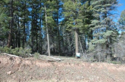 LOT 212 ANGEL FIRE S, Angel Fire, NM 87710