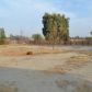 28114 Dustin Acres Rd, Taft, CA 93268 ID:15911193