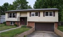 7 E Crownview Mount Vernon, IL 62864