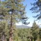 24760 Walters Dr, Idyllwild, CA 92549 ID:15969044