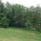 7064 Hickman Cemete, Radford, VA 24141 ID:15981722