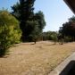 987 Helen Ave, Yuba City, CA 95991 ID:15994448