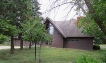 9791 S Shore Dr Pigeon, MI 48755