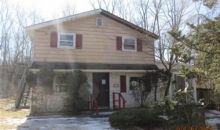 217 BUFFALO HOLLOW RD Glen Gardner, NJ 08826