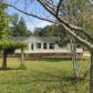 222 Youngs Rd, Eutawville, SC 29048 ID:16033377