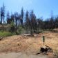 726 Buschmann Rd, Paradise, CA 95969 ID:16030777