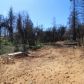 726 Buschmann Rd, Paradise, CA 95969 ID:16030781