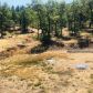 1455 Madera Rd, Trail, OR 97541 ID:16012765