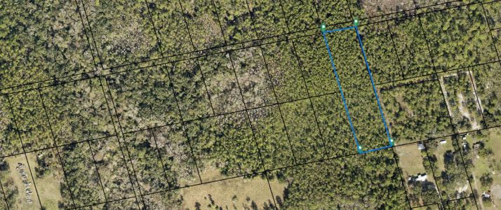 Lot 3 Off of Hog Valley Rd, Mims, FL 32754