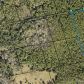 Lot 3 Off of Hog Valley Rd, Mims, FL 32754 ID:16059338