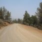 Lot 661 Clark, Hornbrook, CA 96044 ID:16061571